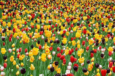 太空建造游戏《伊克西翁》正式登陆Steam 玩家评价“特别好评”